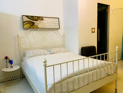 Balestier Road (D12), Apartment #474242231